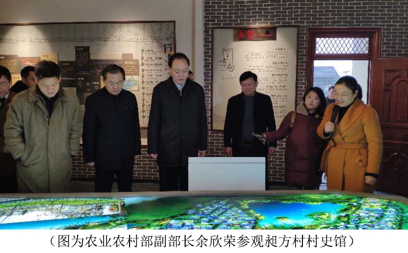农业农村部副部长余欣荣视察由我司承建的“昶方村村史馆”