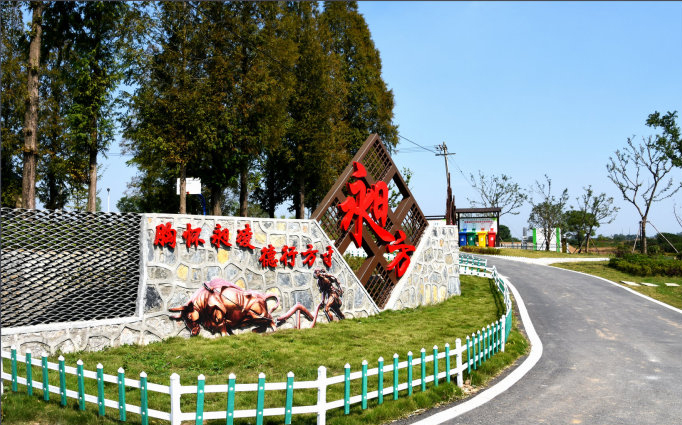 安徽省委秘书长钟俊杰视察由我司承建的“昶方村村史馆”